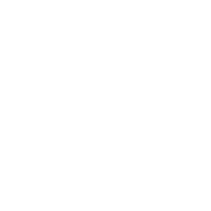 LION ITC Projects: Development of Lightweight Mobile Billing Solutions