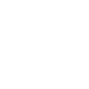 LION ITC - ERP Implementation for Water Bottling Company