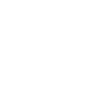 LION ITC Projects: Implementation of ERP for Free Zones