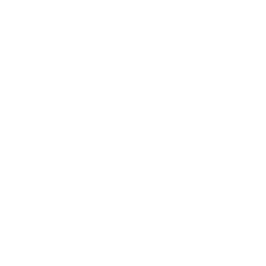 LION ITC Projects: ERP Implementation for Vehicle Dealerships