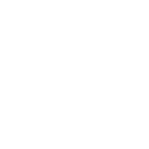 LION ITC Projects: Lightweight Solutions for Automotive Shop Floor Management