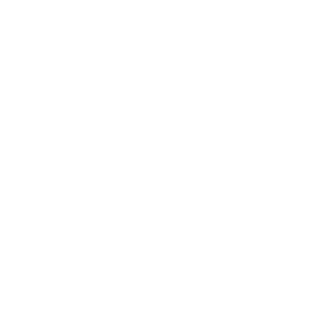 LION ITC - Mobile Routing Billing Solutions