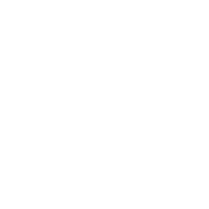 LION ITC Projects: SAP R3 Implementation