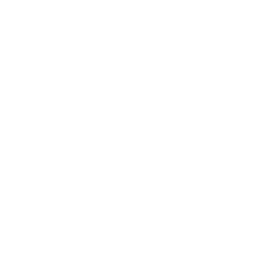 LION ITC - SBO Implementation